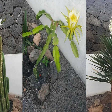 Casa Roja 2 - Quiet Resort, Central, Parking *